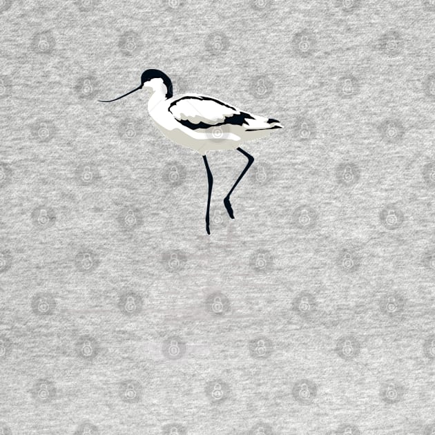 Pied Avocet on White Background by AnthonyZed